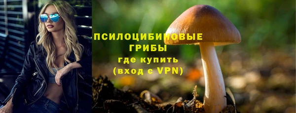круглые Гусь-Хрустальный