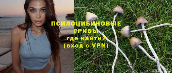 ПСИЛОЦИБИНОВЫЕ ГРИБЫ Гусиноозёрск
