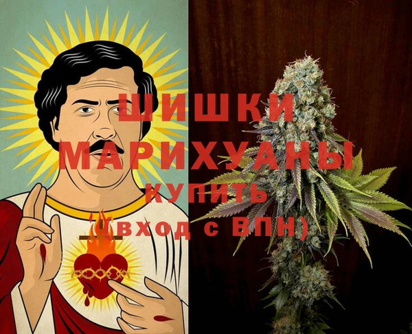 хмурый Гусев