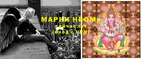 хмурый Гусев