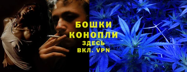 хмурый Гусев