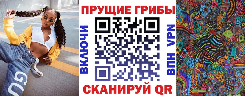 Псилоцибиновые грибы Psilocybe Пущино